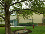Cai Restoration Services