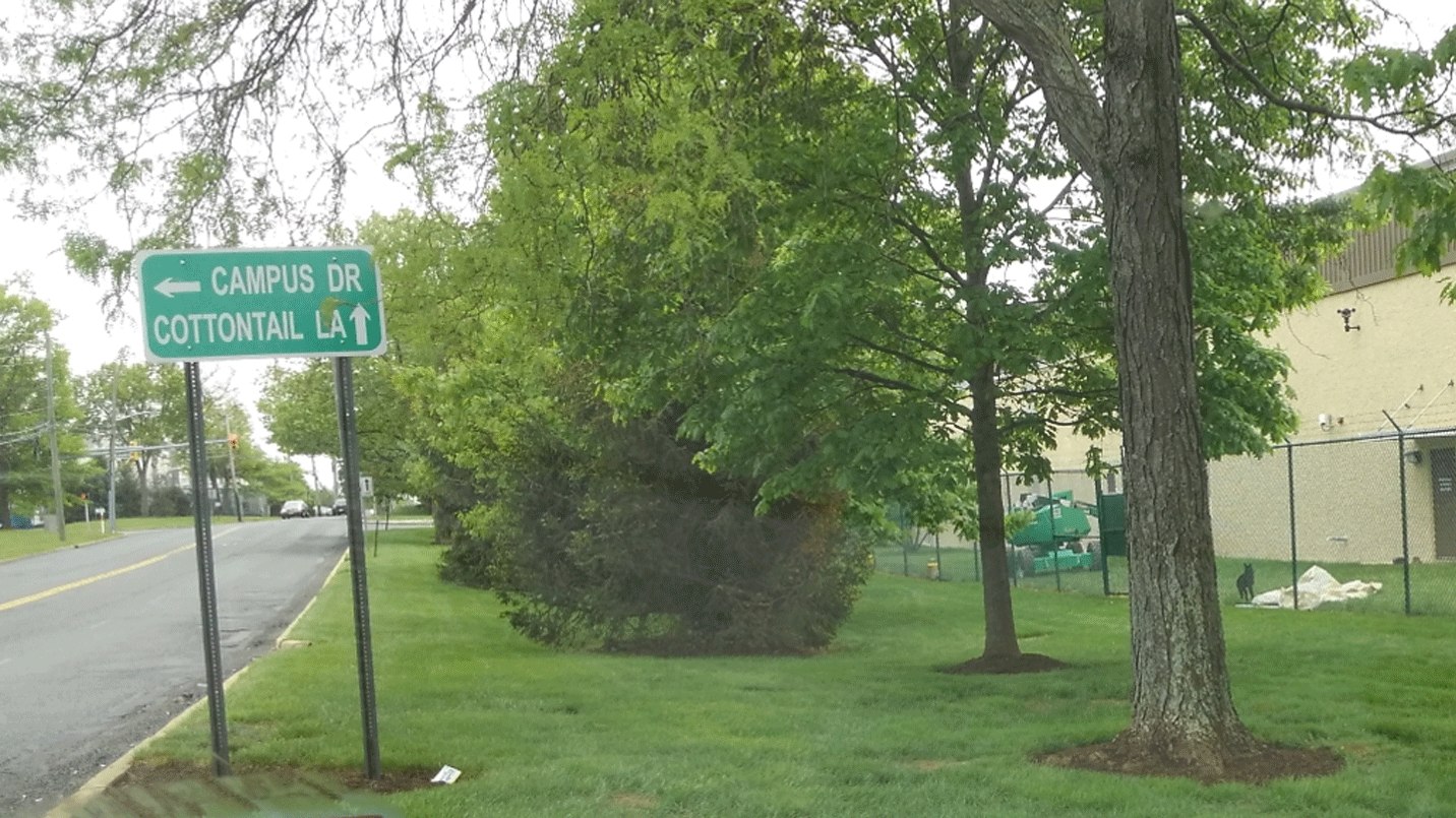 Cai Restoration Services